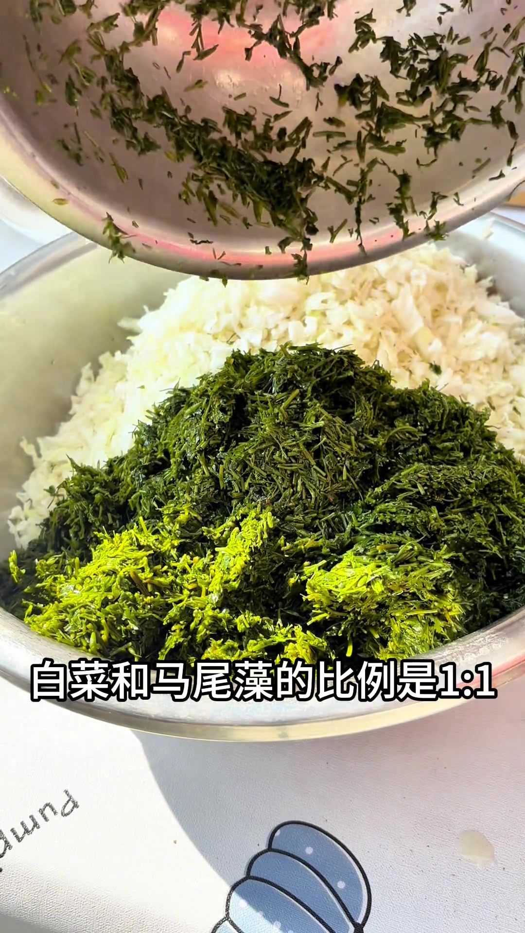 又到吃海菜包子季节,马尾藻包的超鲜!