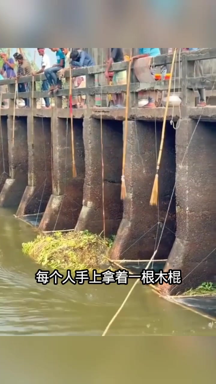 三哥们用竹签抓鱼