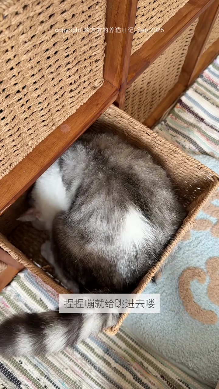 晚餐吃片肥肉银鳕鱼