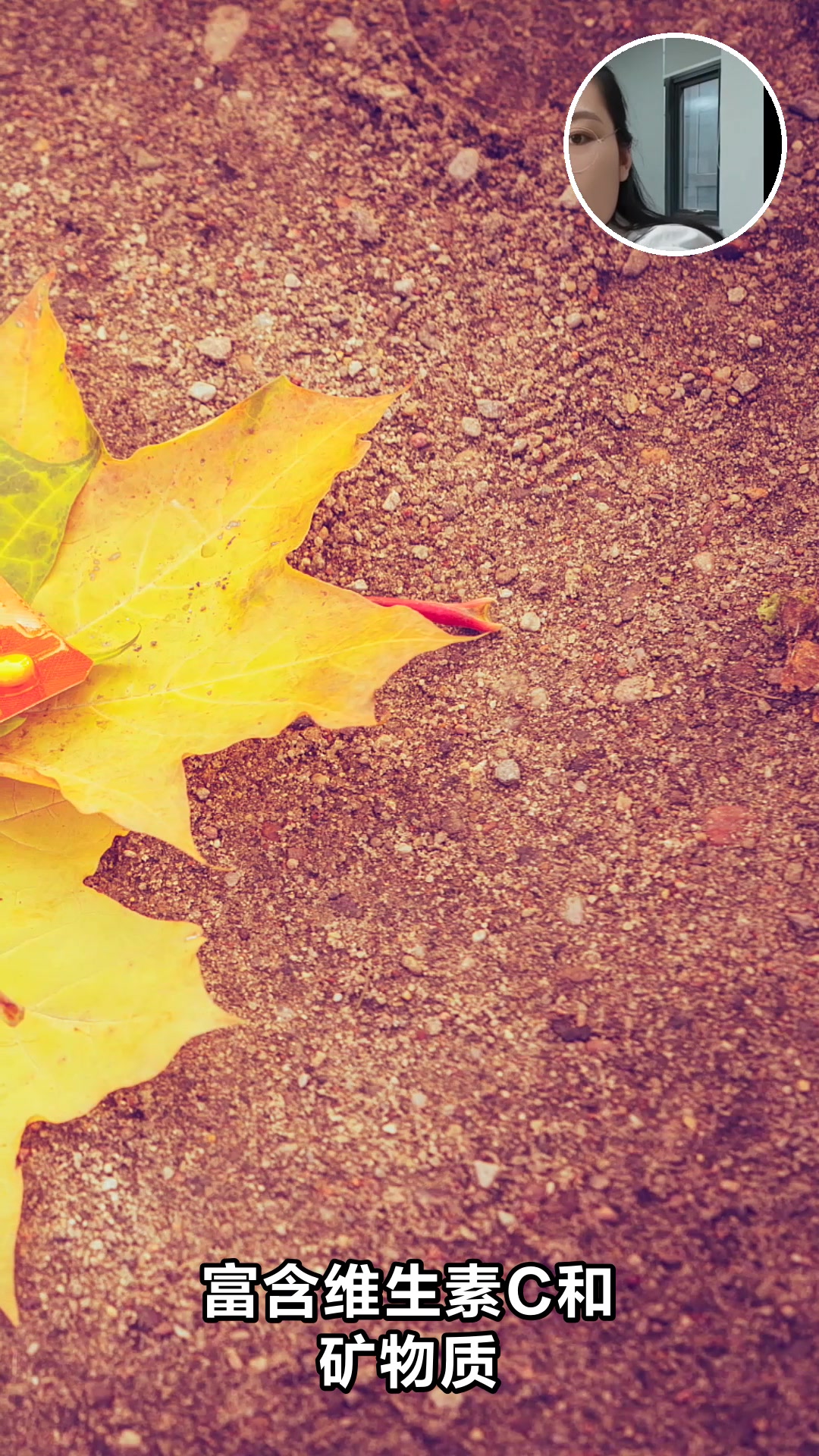 龙葵叶子能不能当菜吃