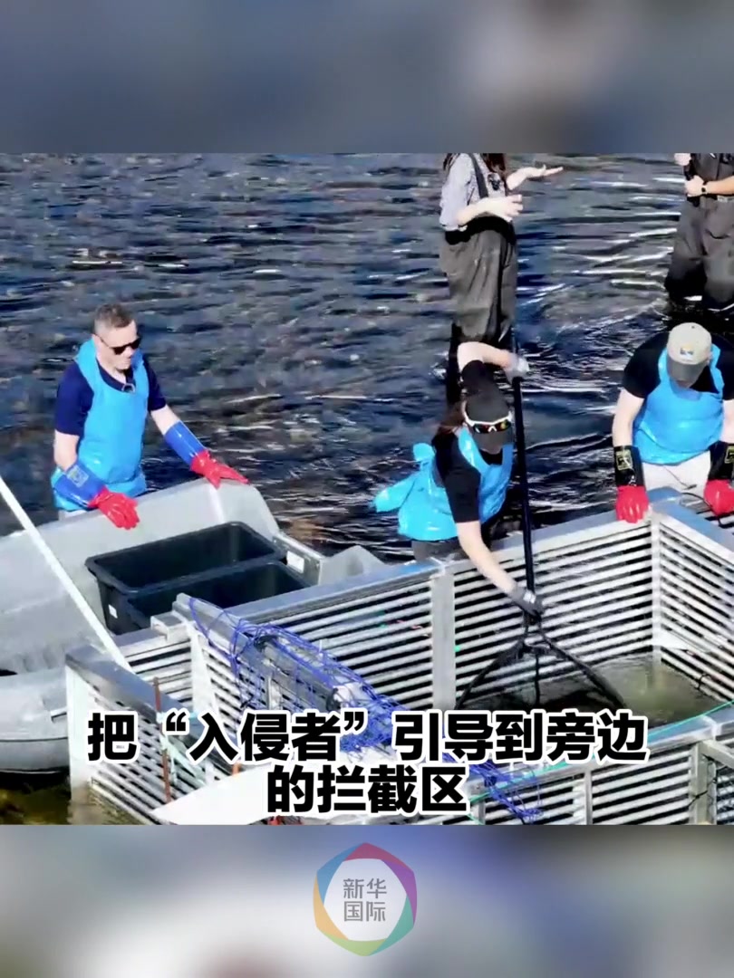 说说|它们的传奇生命之旅,为何需要来自遥远东方的科技力量?