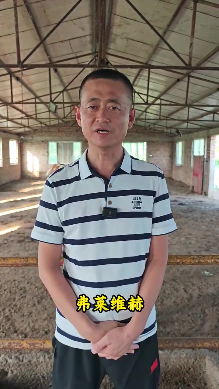 肉牛繁育 培训改良技术