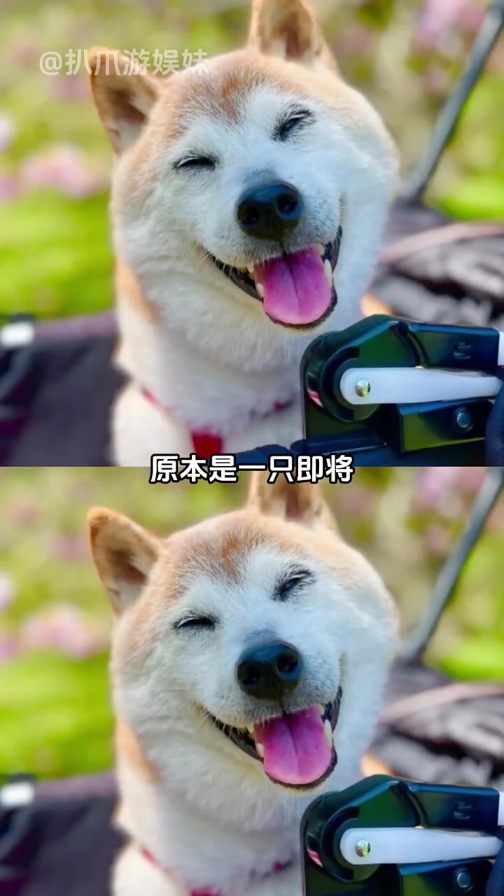 表情包会一直留在我们身边 二次元 漫画 表情包