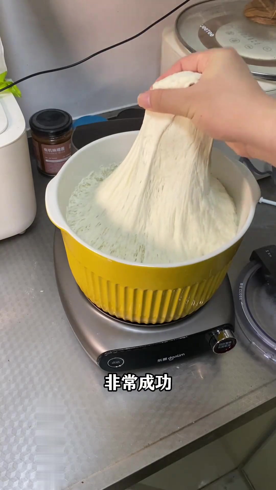 沪漂月入15000独居生活,今日包芹菜猪肉包