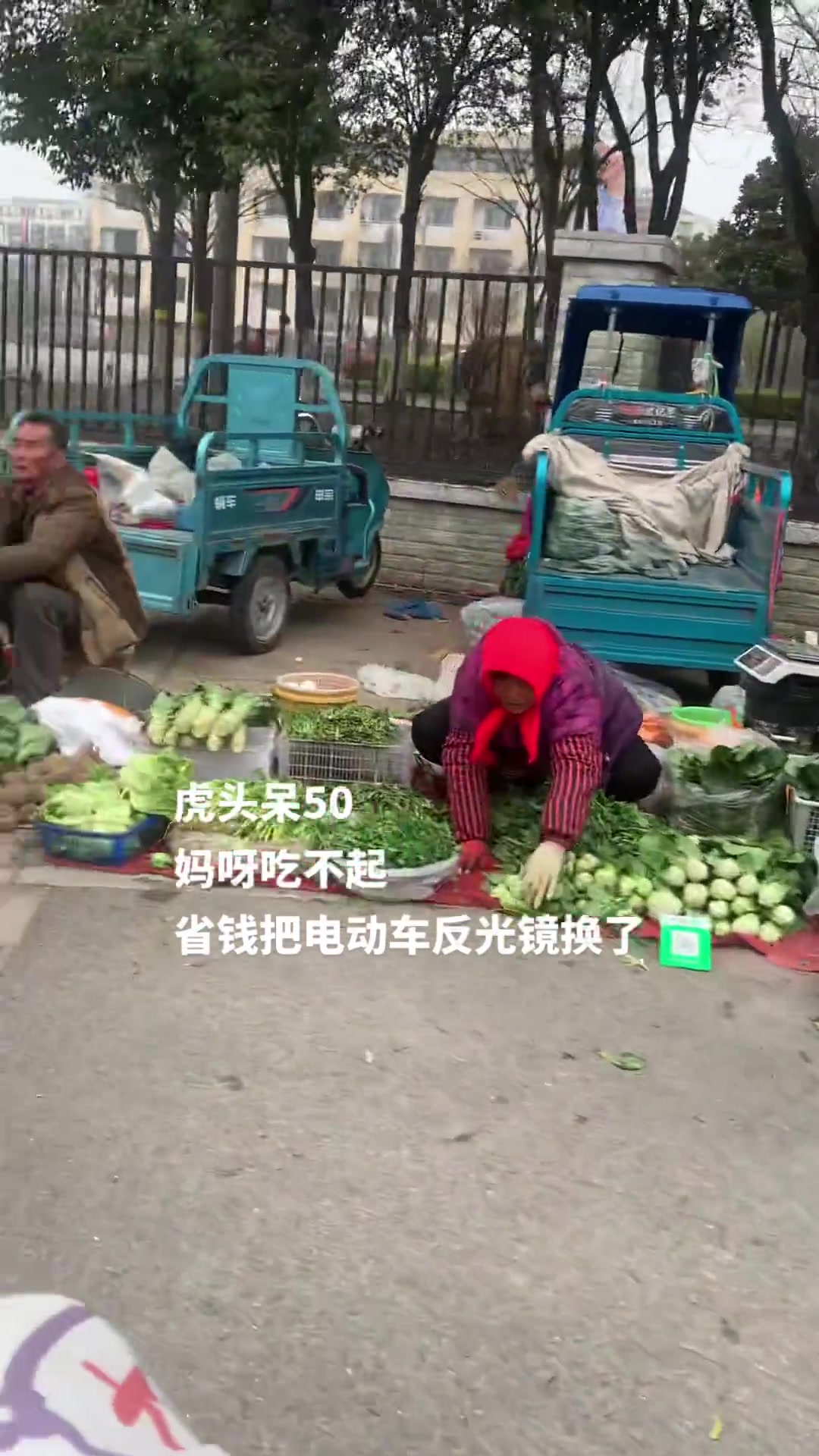 小时候码头上经常看见虎头呆子,一问50元一斤,鱼可以不吃,反光镜必须换!