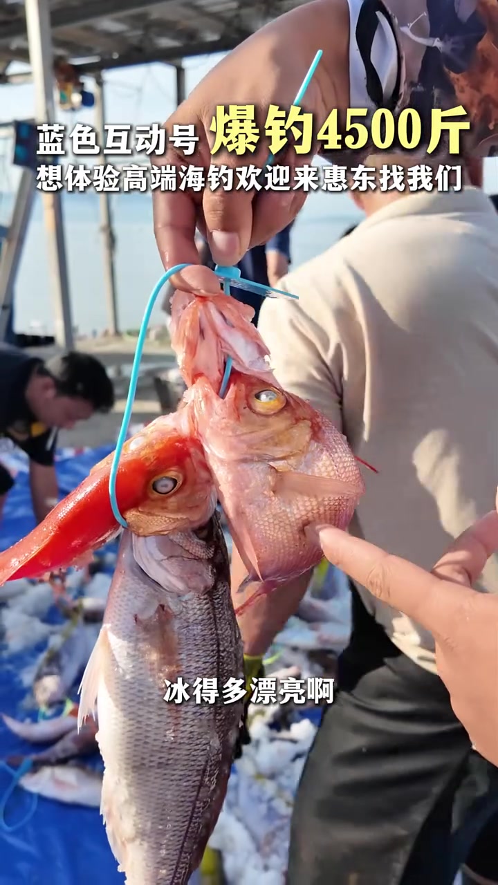 很多钓友这趟出海船费花了4800,大部分都赚了3000-5000元以上,大家都笑容满面。和