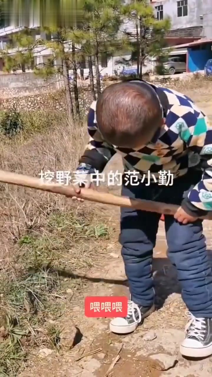 范小勤古早视频,拿锄头挖野菜