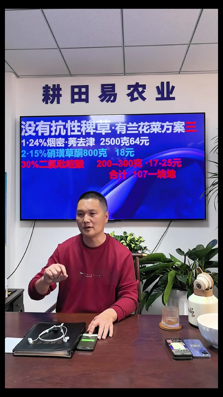针对兰花菜，苞米苗后除草方案