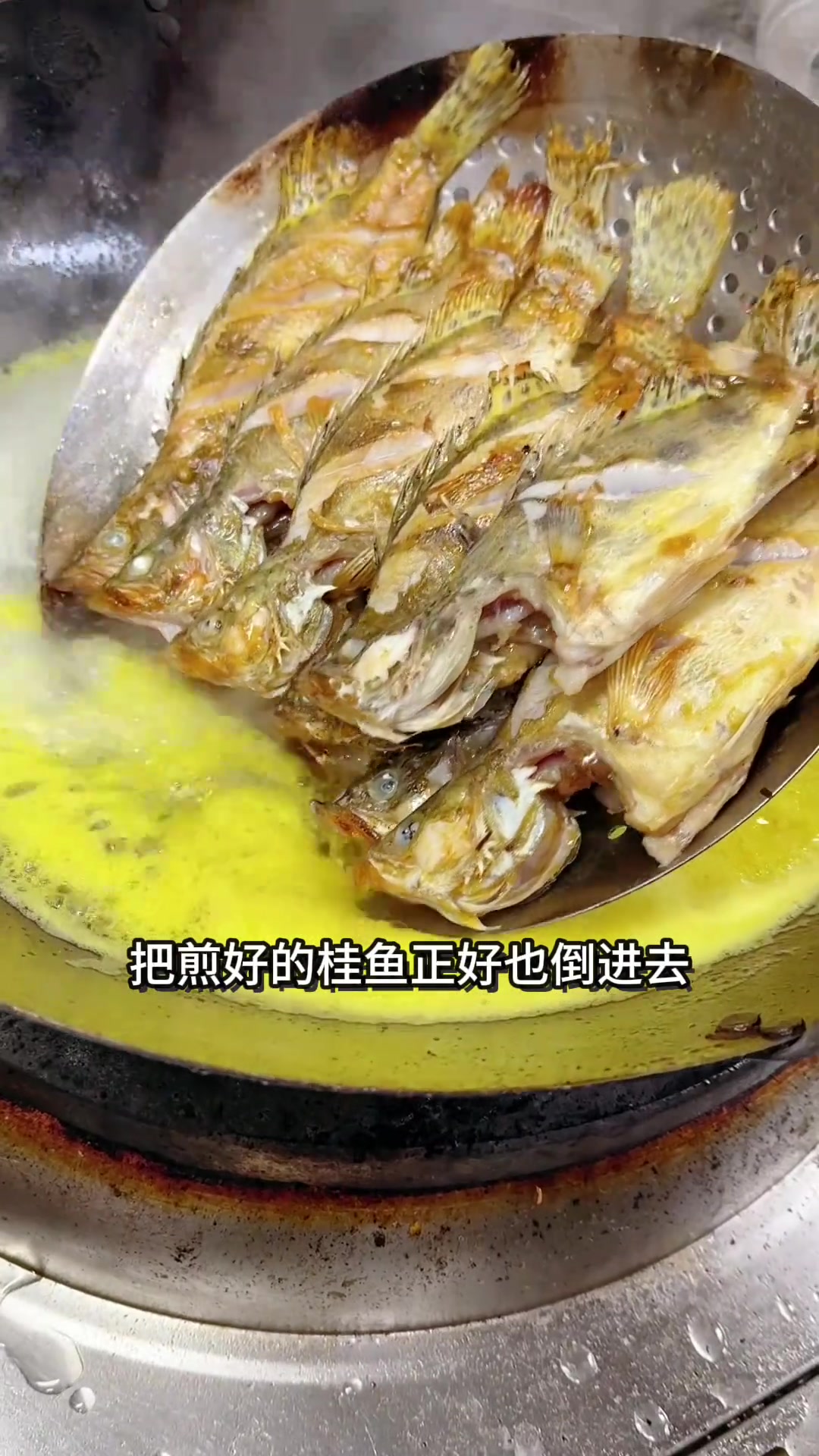 分享简单好吃的桂鱼火锅,啥鱼都能这么做