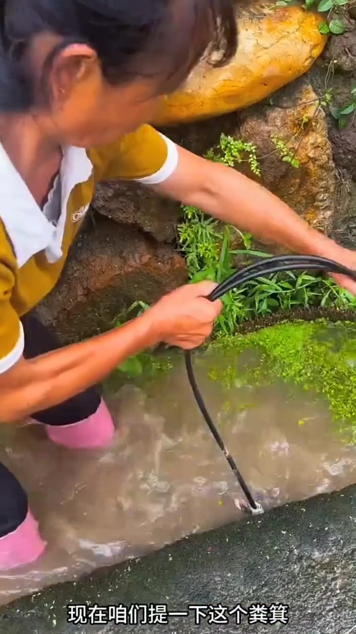 农村大姐踩筐下水抓鱼,收获满满全是泥鳅!