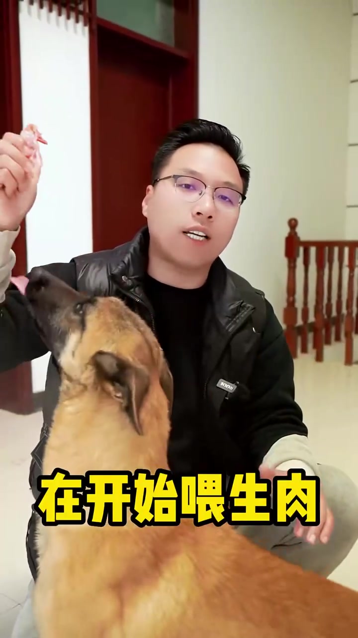 鸡架子应该怎么喂狗？