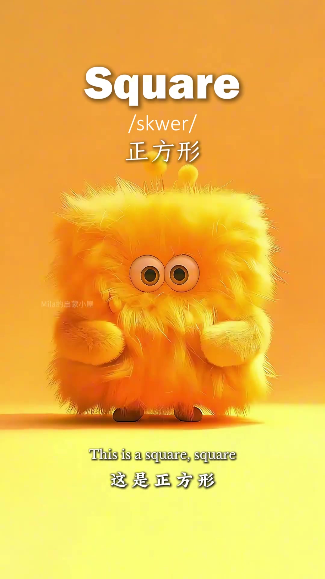 各种形状的英文单词这样说