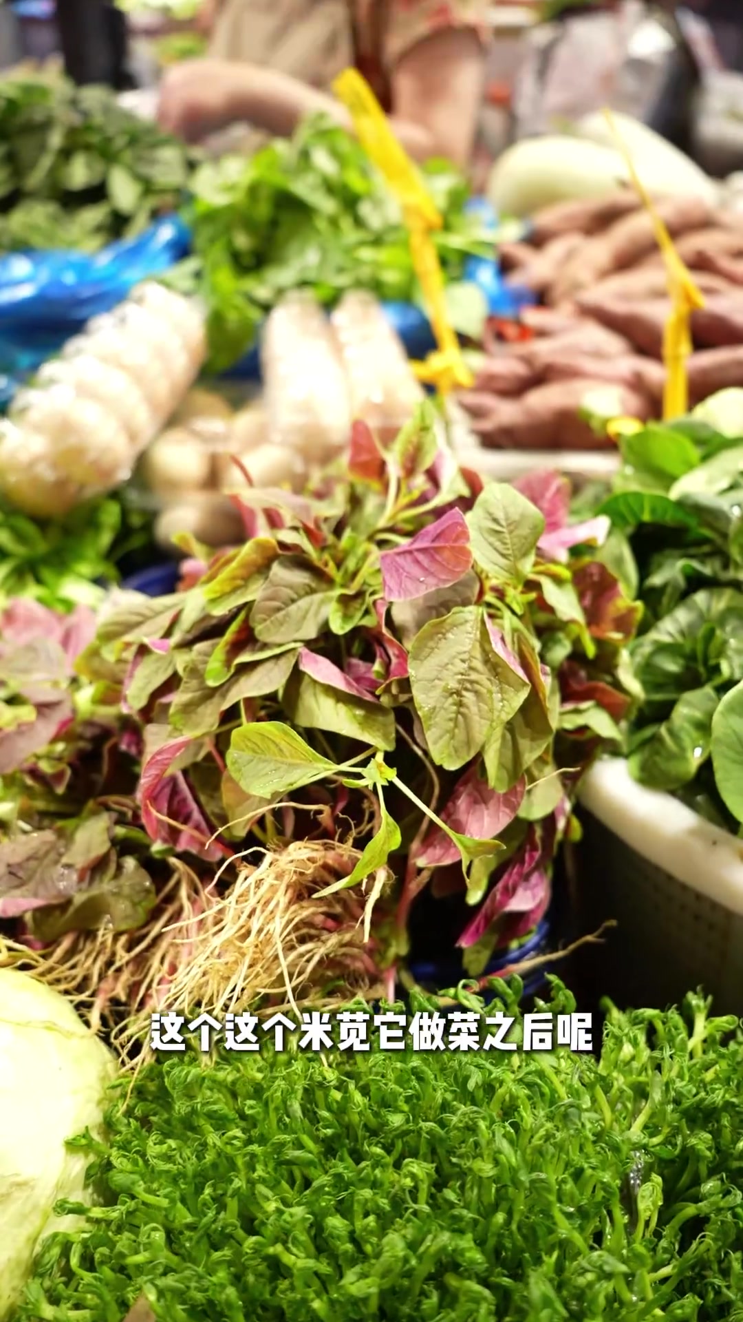 杭州签售会结束那天,抽了一个空档,逛上了杭州超火的「文二路·菜市场」!  错落有致的木质顶