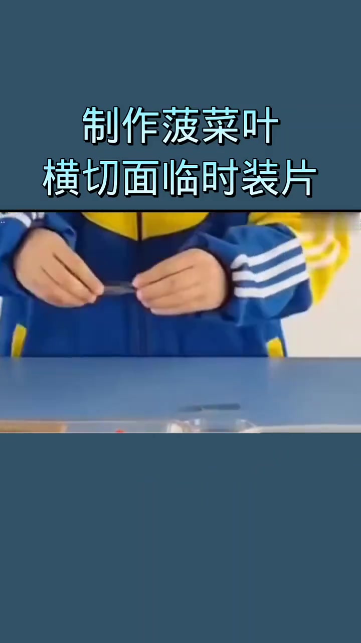 2025辽宁省葫芦岛地区生物实验操作,制作菠菜叶横切面临时装片