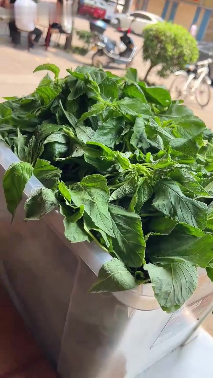 陕西杨凌野菜蘸水面,四季美味,老板加菜超豪爽