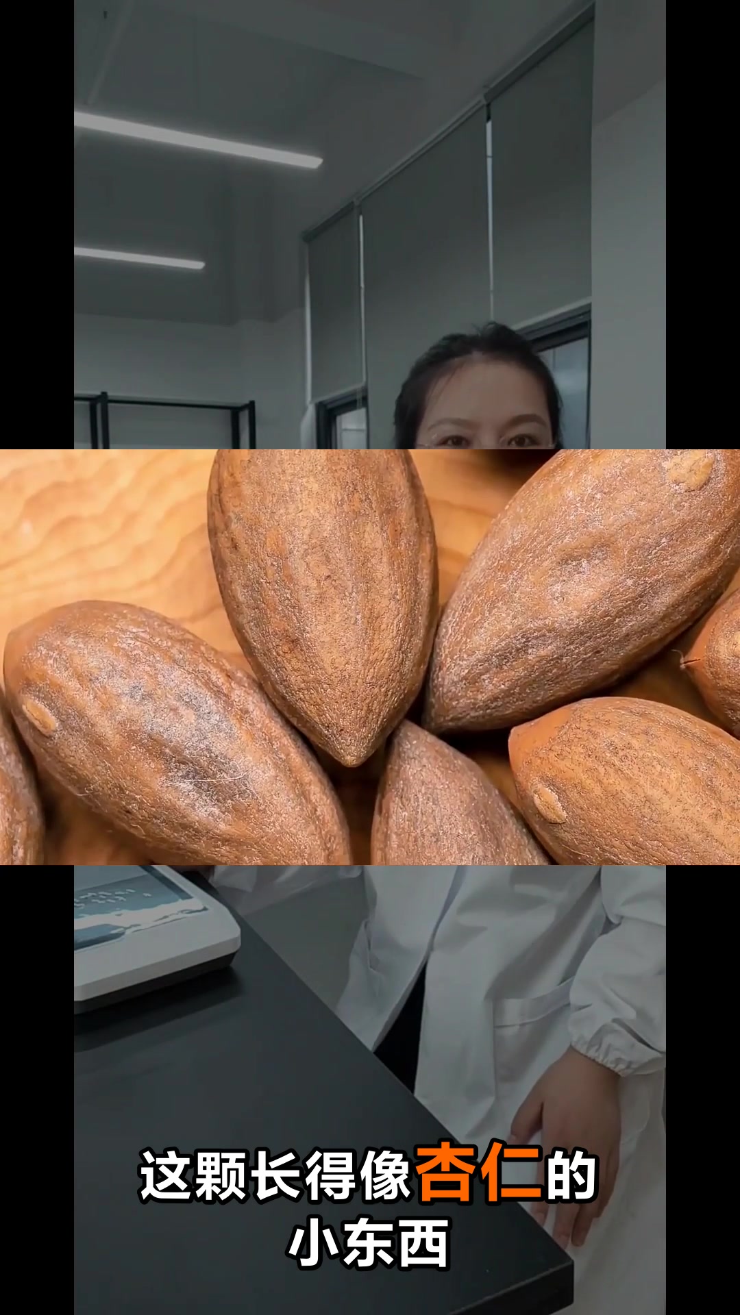 香榧子：古代皇帝抢着吃的坚果之王