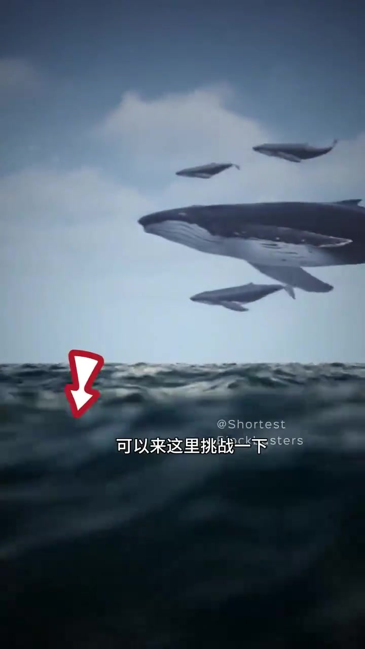 传说中的美人鱼长啥样?颠覆想象的场景来挑战!