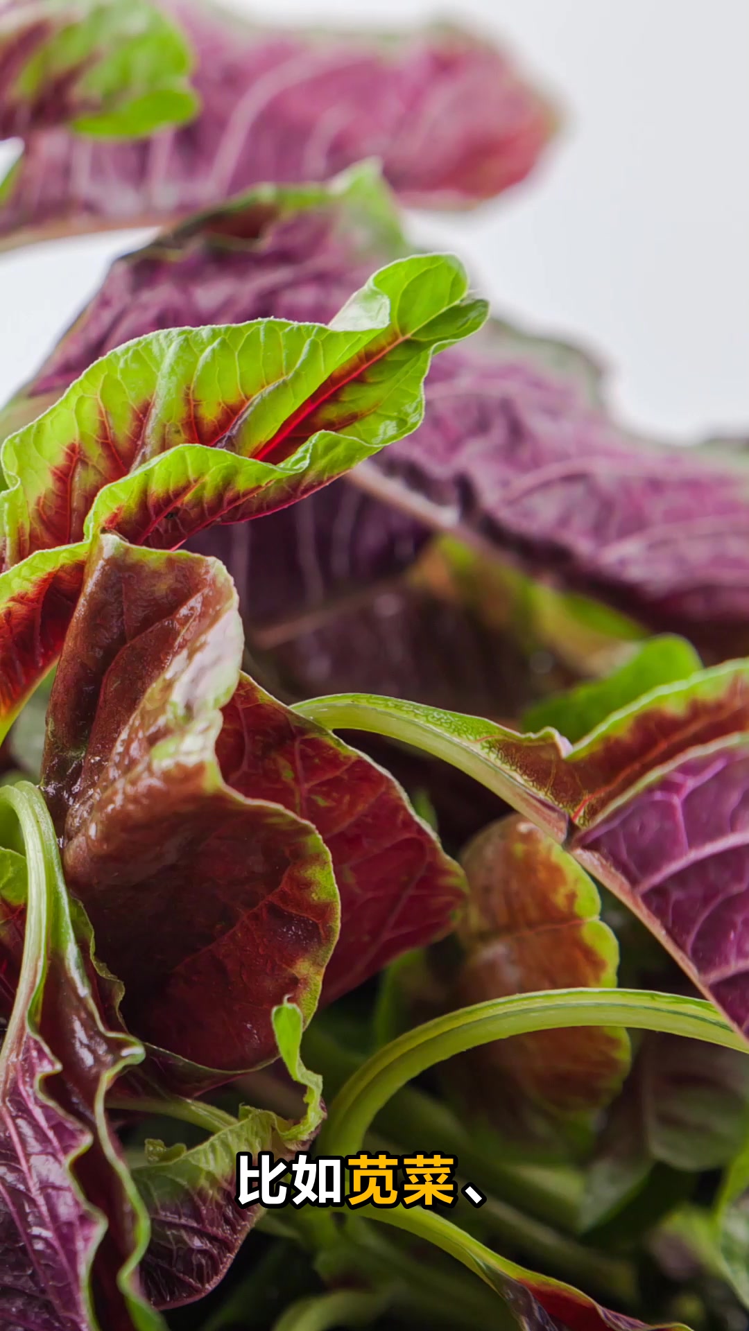 菠菜豆腐同食真相大揭秘