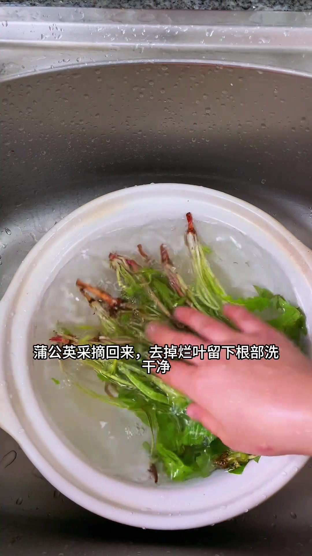 春季养肝:蒲公英煮鹅蛋,孩子爱喝有清甜