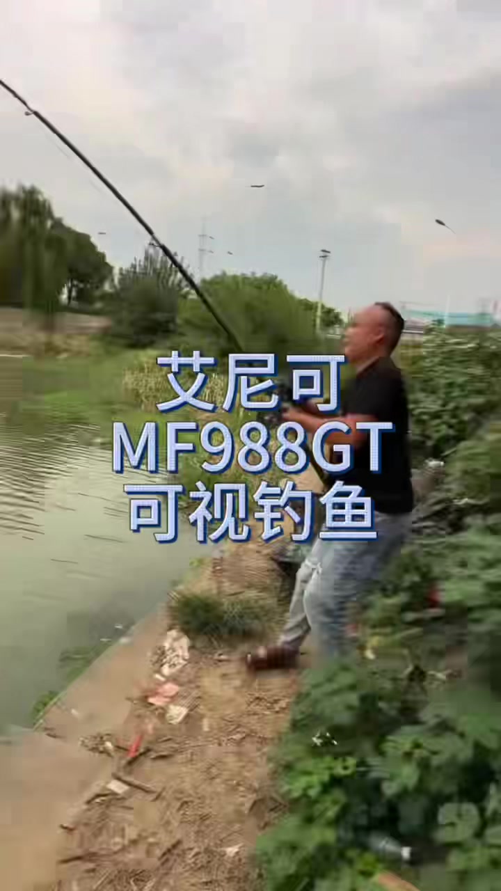 艾尼可MF988GT可视锚鱼竿上大鱼啦