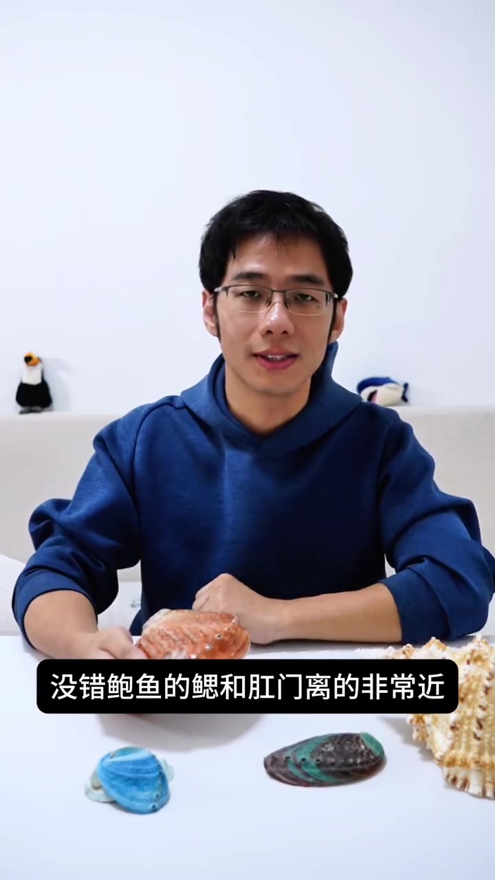 有眼睛?产珍珠?原来你是这样的鲍鱼!