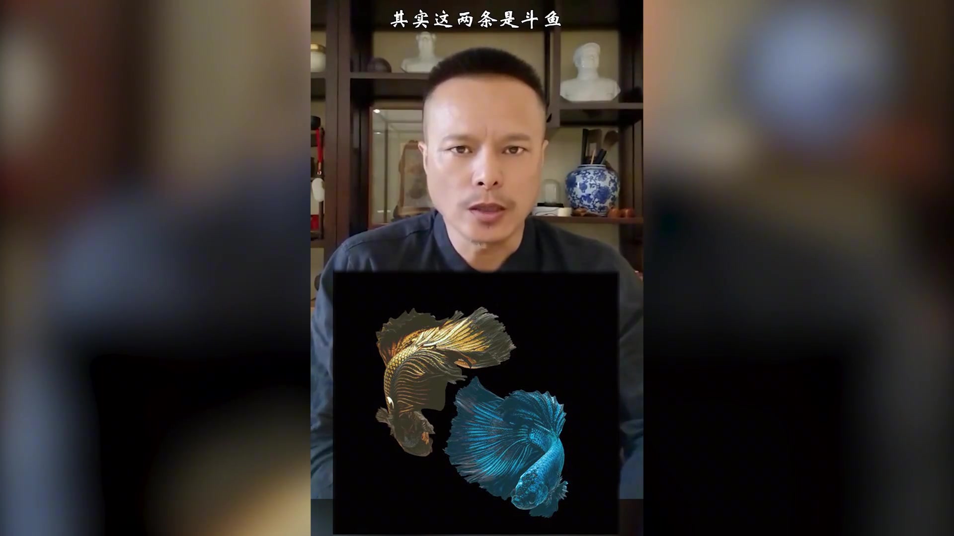 双鱼”头像，深藏的寓意！