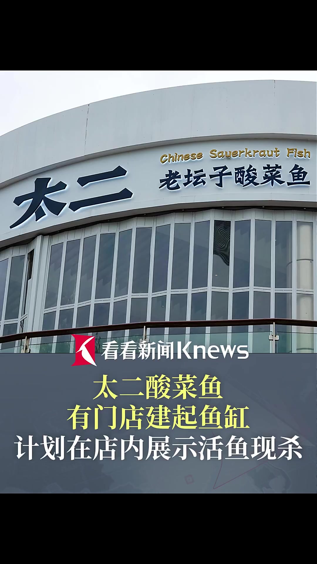 太二酸菜鱼有门店建起鱼缸 计划在店内展示现杀
