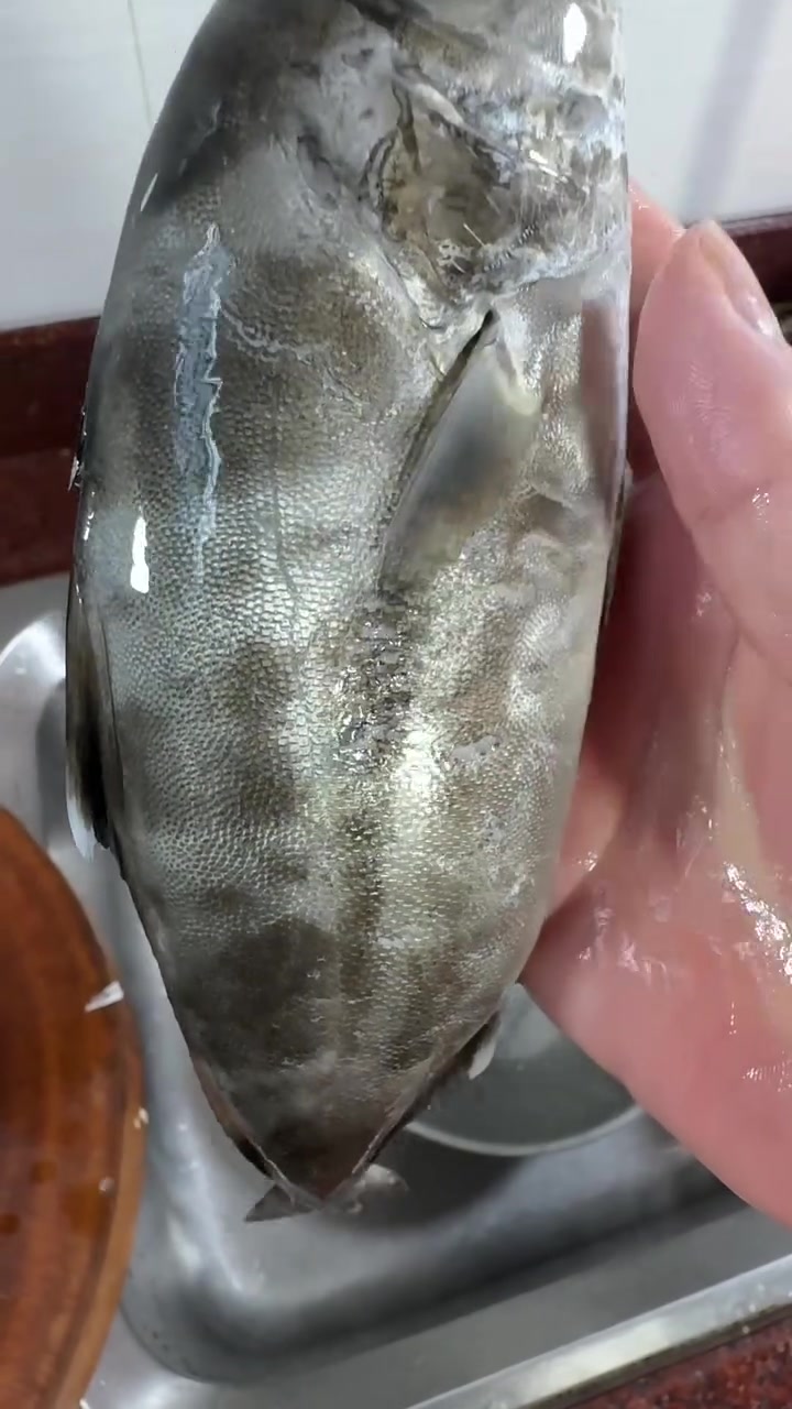 小条油甘鱼要比大条的嫩滑香甜,煮冬菜更有潮汕风味