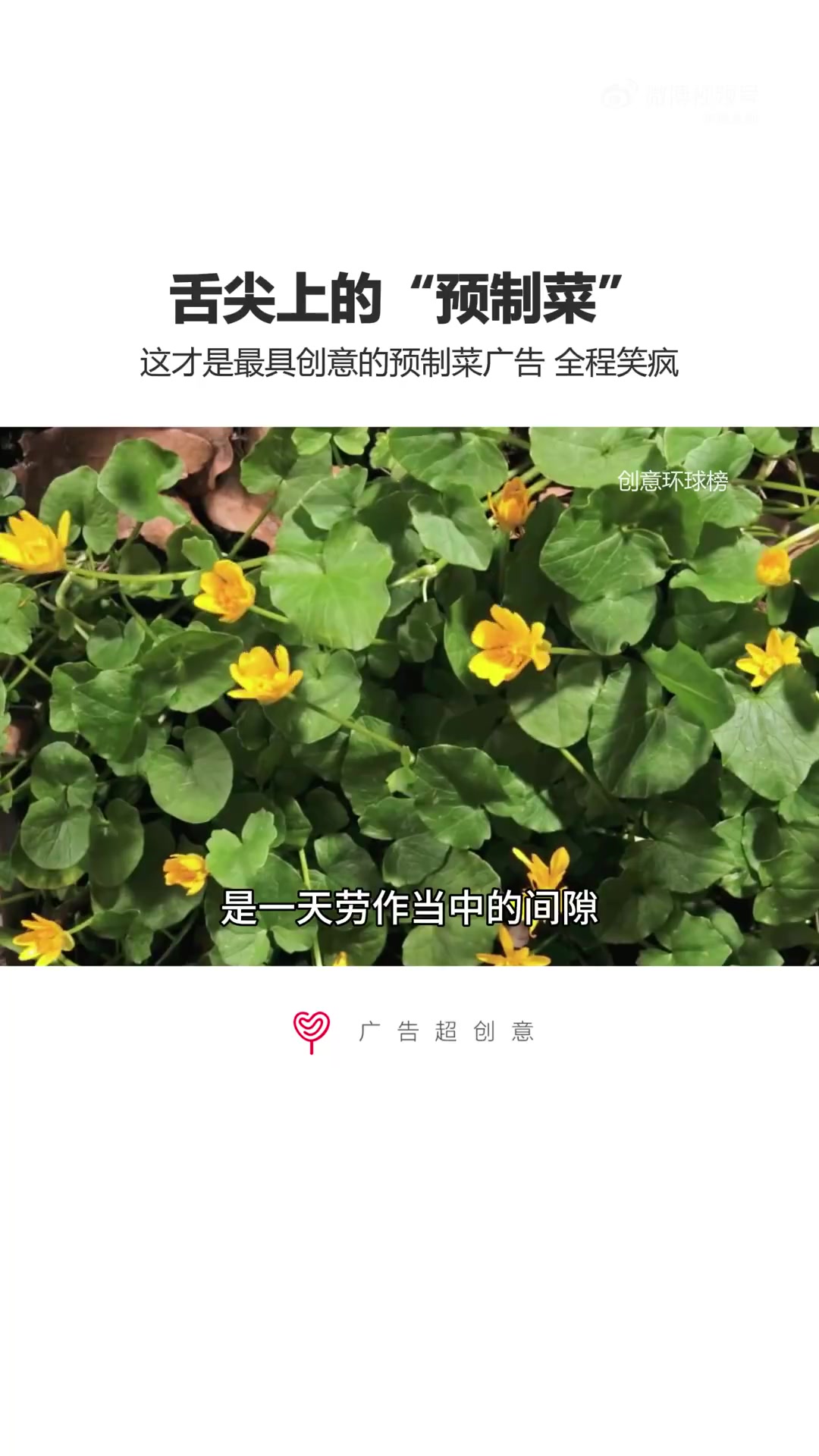 舌尖上的中国第九大菜系“预制菜” 这才是最具创意的预制菜内幕…….  转自创意环球榜