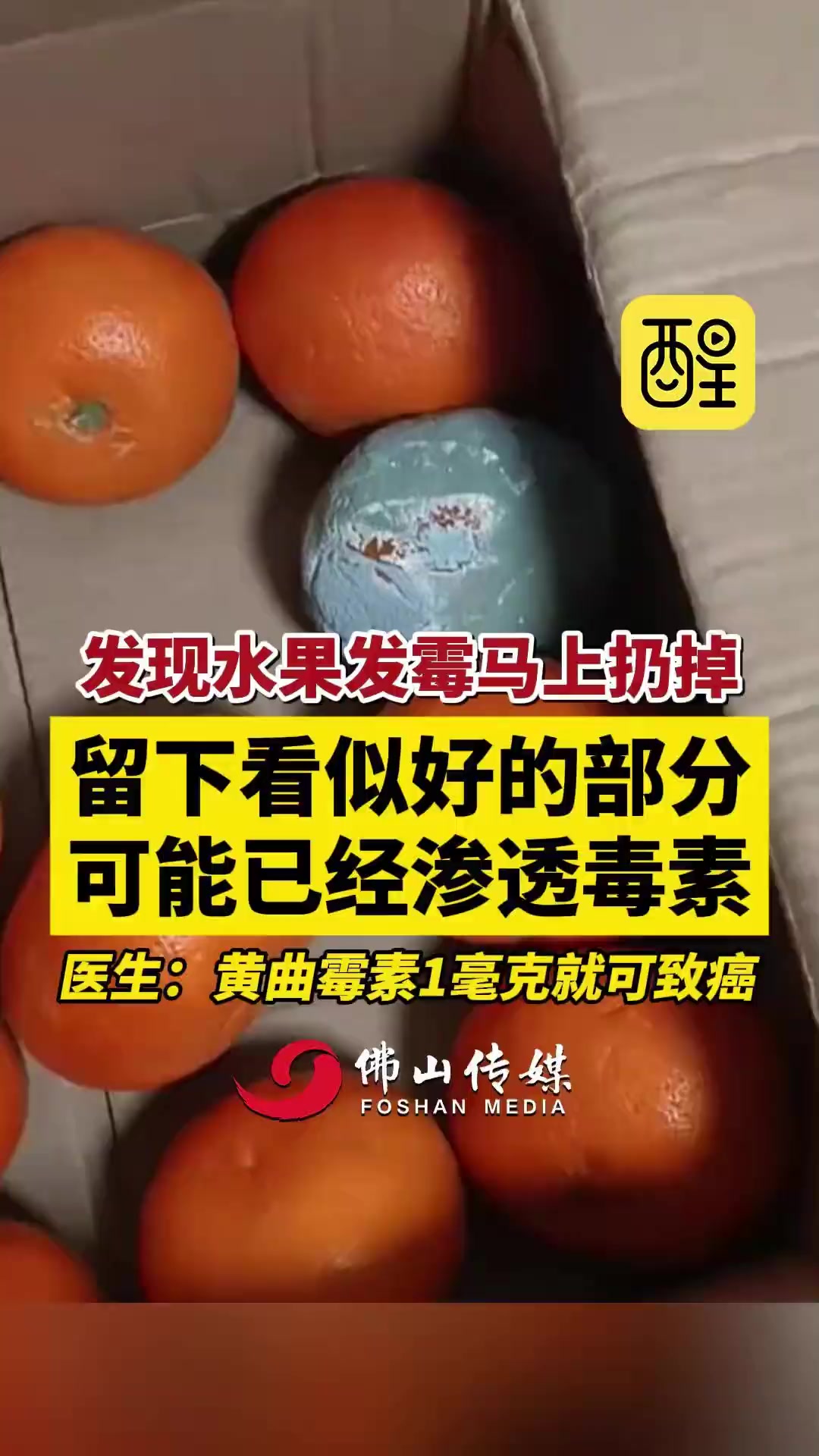 发现水果发霉马上扔掉!留下看似好的部分可能已经渗透毒素,医生:黄曲霉素1毫克就可致癌。(编