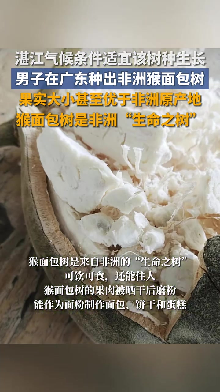 分享视频