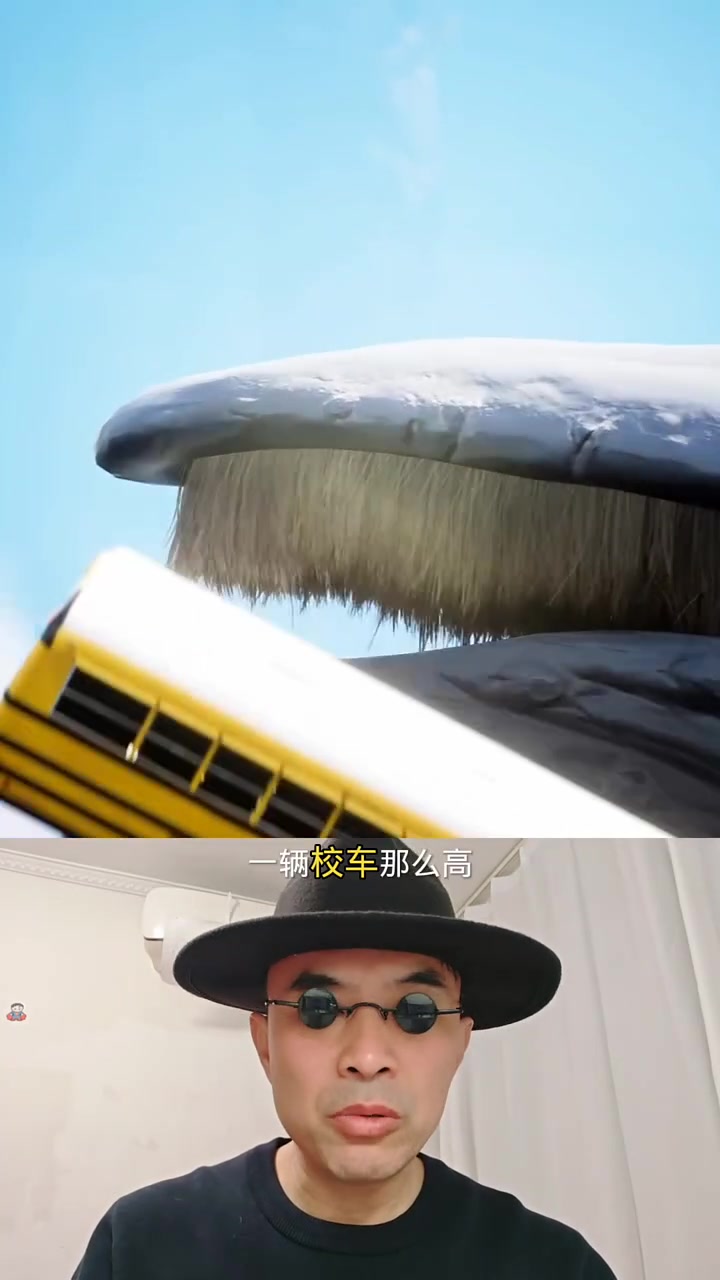 最长牙齿一辆汽车一样长,鲸鱼有上万颗牙齿