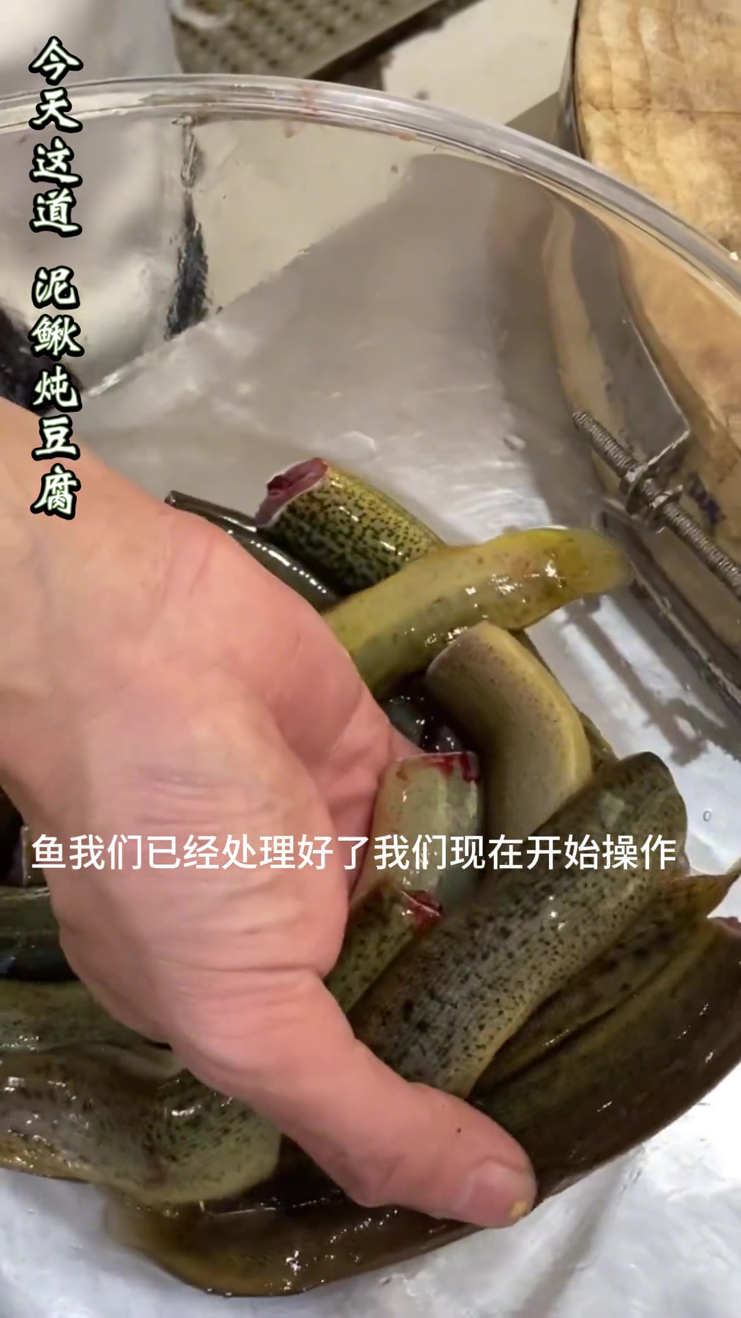 泥鳅炖豆腐家常做法,简单又美味
