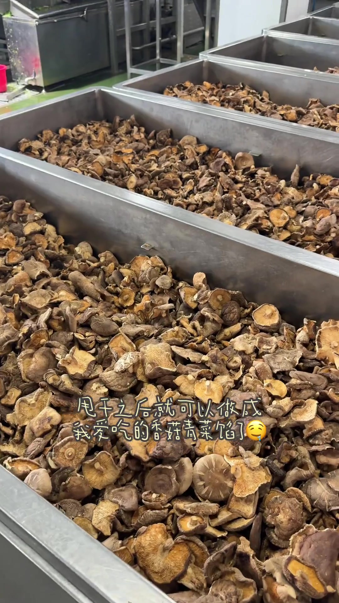 在上海参观巴比馒头工厂VLOG,看过之后吃的更放心了