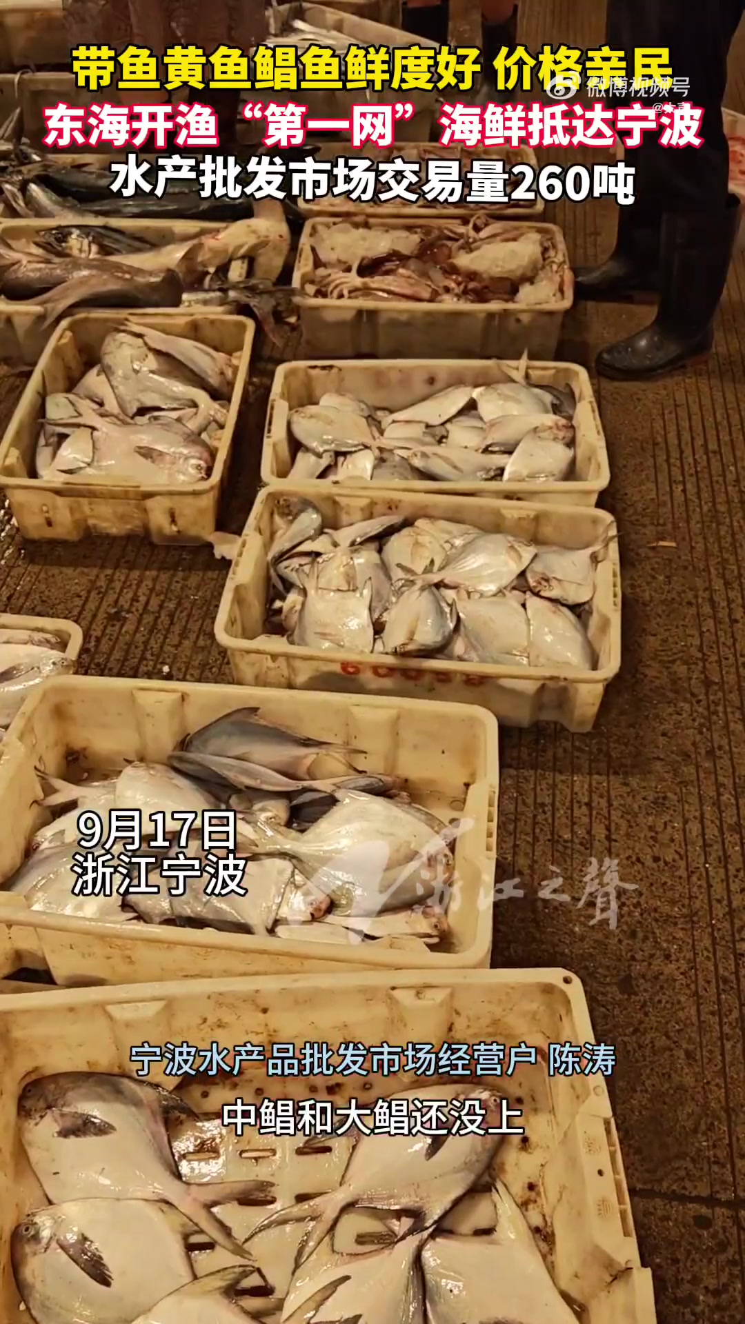 「品类全,鲜度好,价格亲民!东海开渔“第一网”“热气货”海鲜来啦」随着东海全面开渔,今天傍