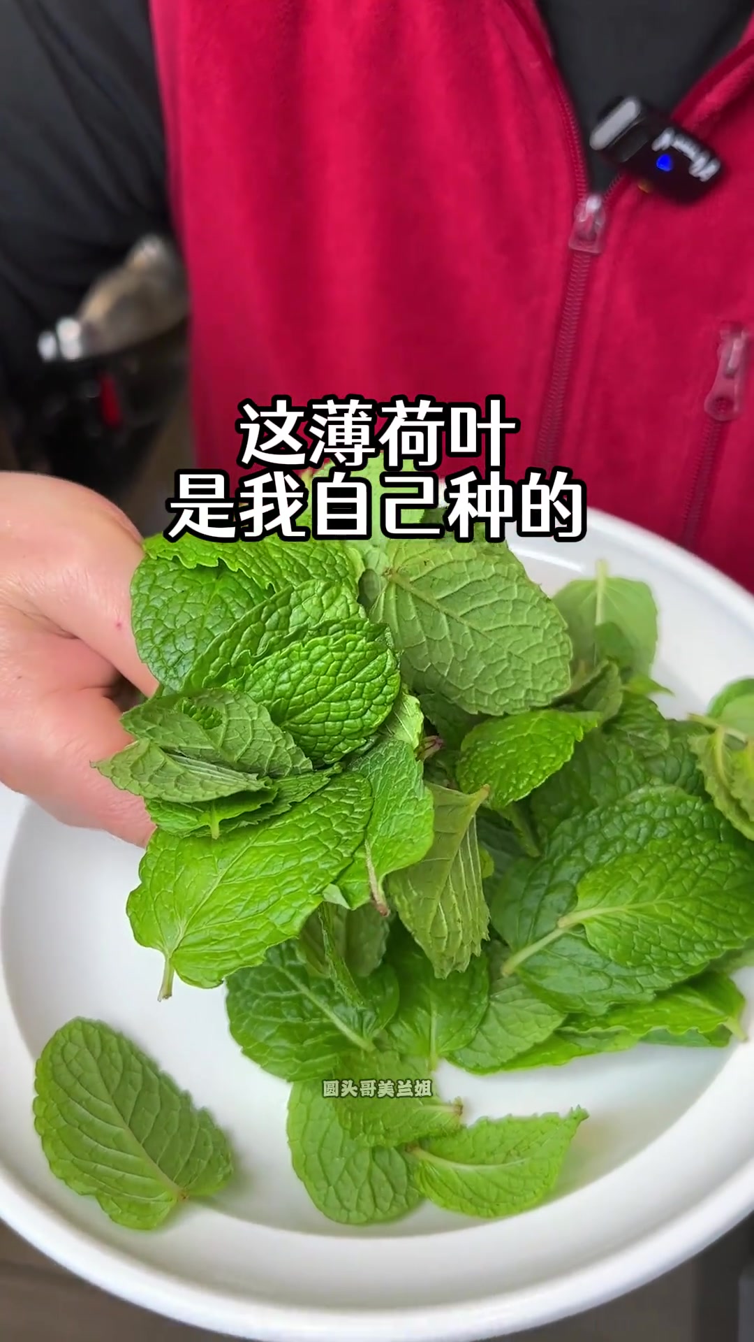 蒜蓉醋是我老家的经典蘸料,做法简单,酸爽解腻
