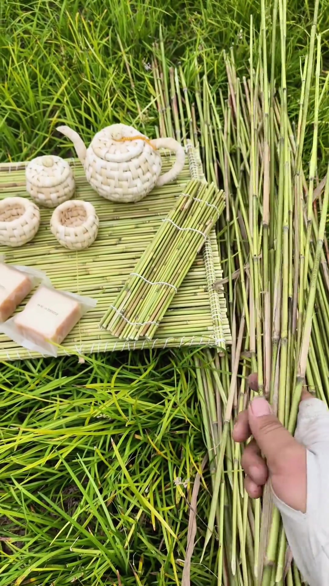 用野荻草做盖帘,放饺子当托盘很不错!