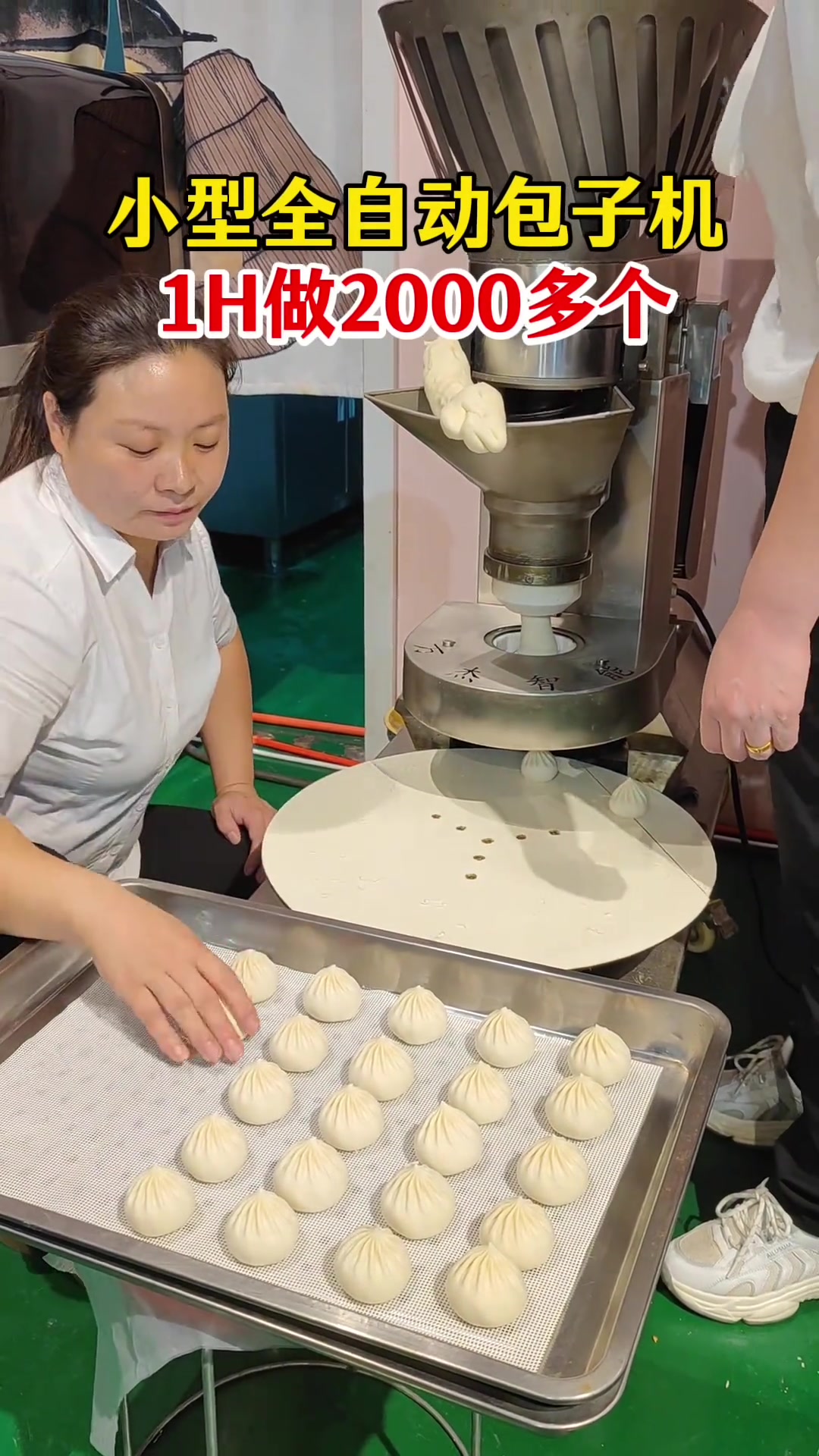 小型台式包子机,一小时做2000多个包子