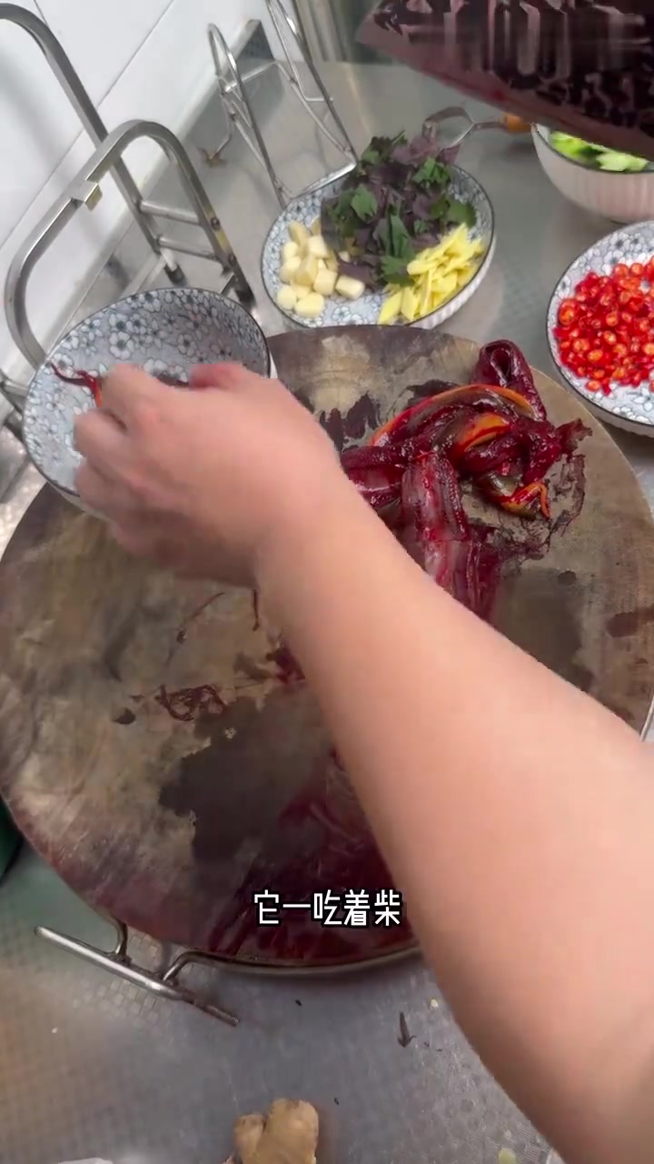 鳝鱼焖黄瓜,小白也能做的第一道大菜