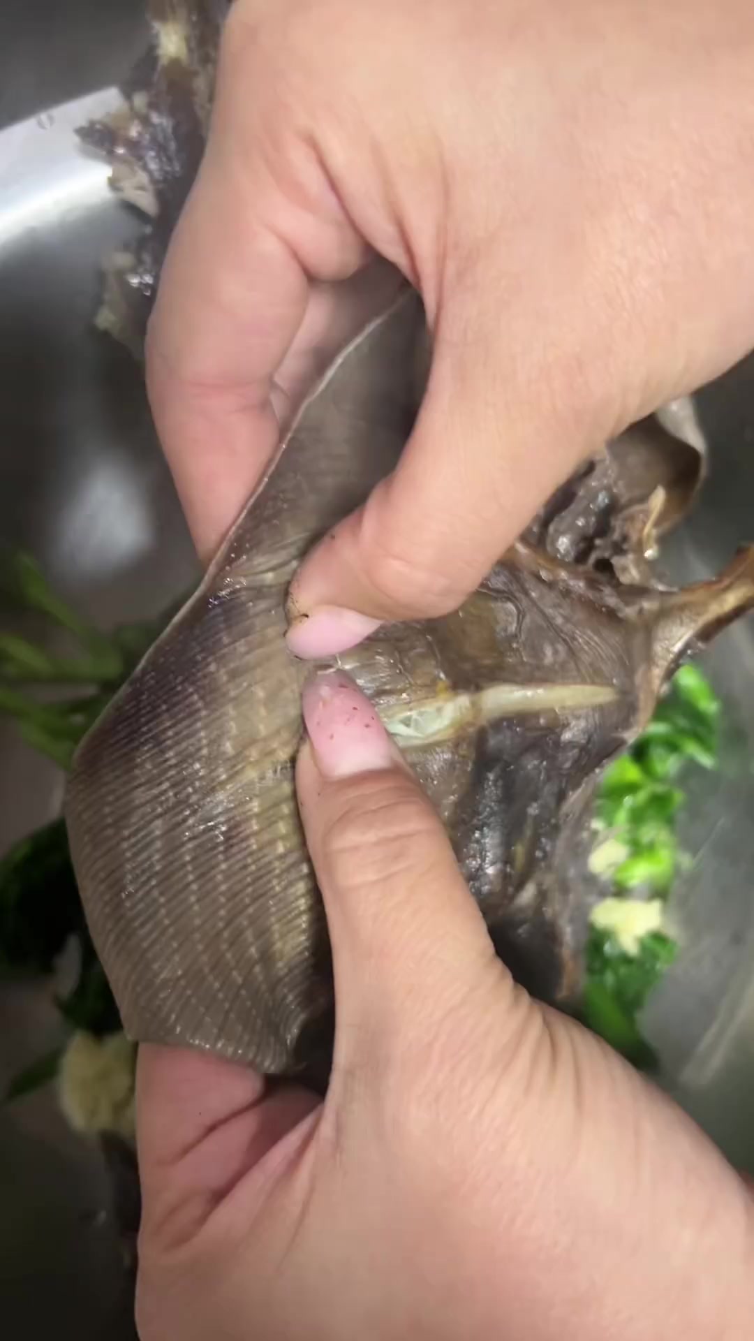 新鲜晒好的老板鱼,想要的戳购物车