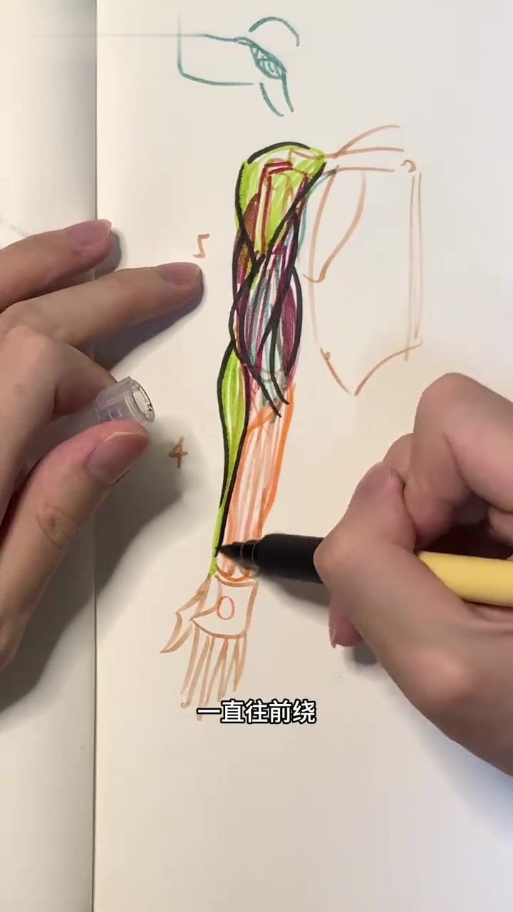 了解手臂肌肉画法，让画作中的身体线条更美观