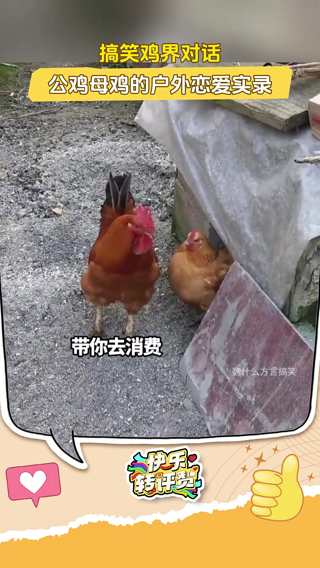 搞笑鸡界对话：公鸡母鸡的户外恋爱实录！