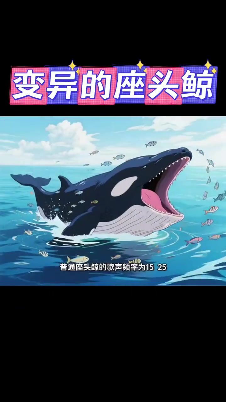 变异的座头鲸竟是孤独高音家