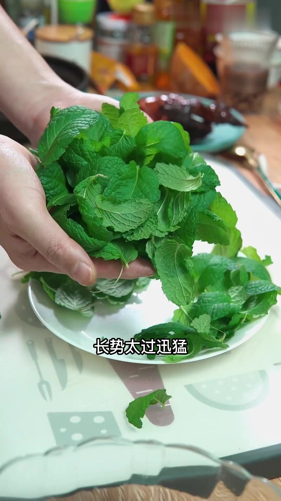 分享农家乐好吃的薄荷叶炒鸡蛋新吃法