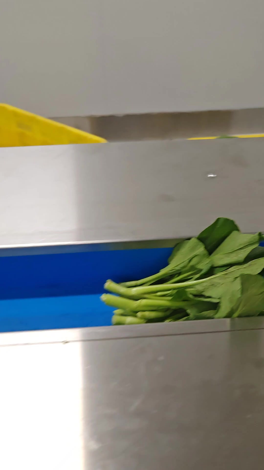 精品蔬菜心自动打孔包装机配送中心商超生鲜打包