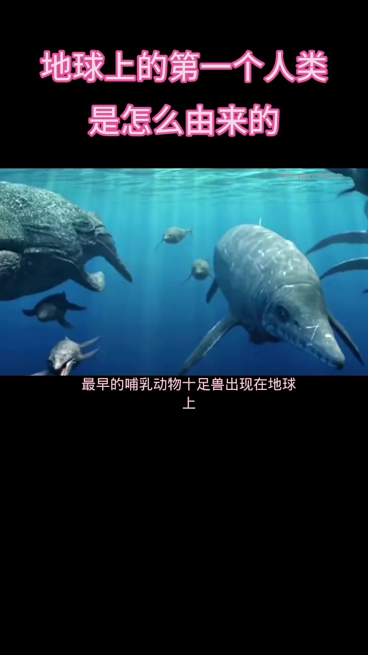 人类起源之谜!从单细胞到最早人类的神奇进化史