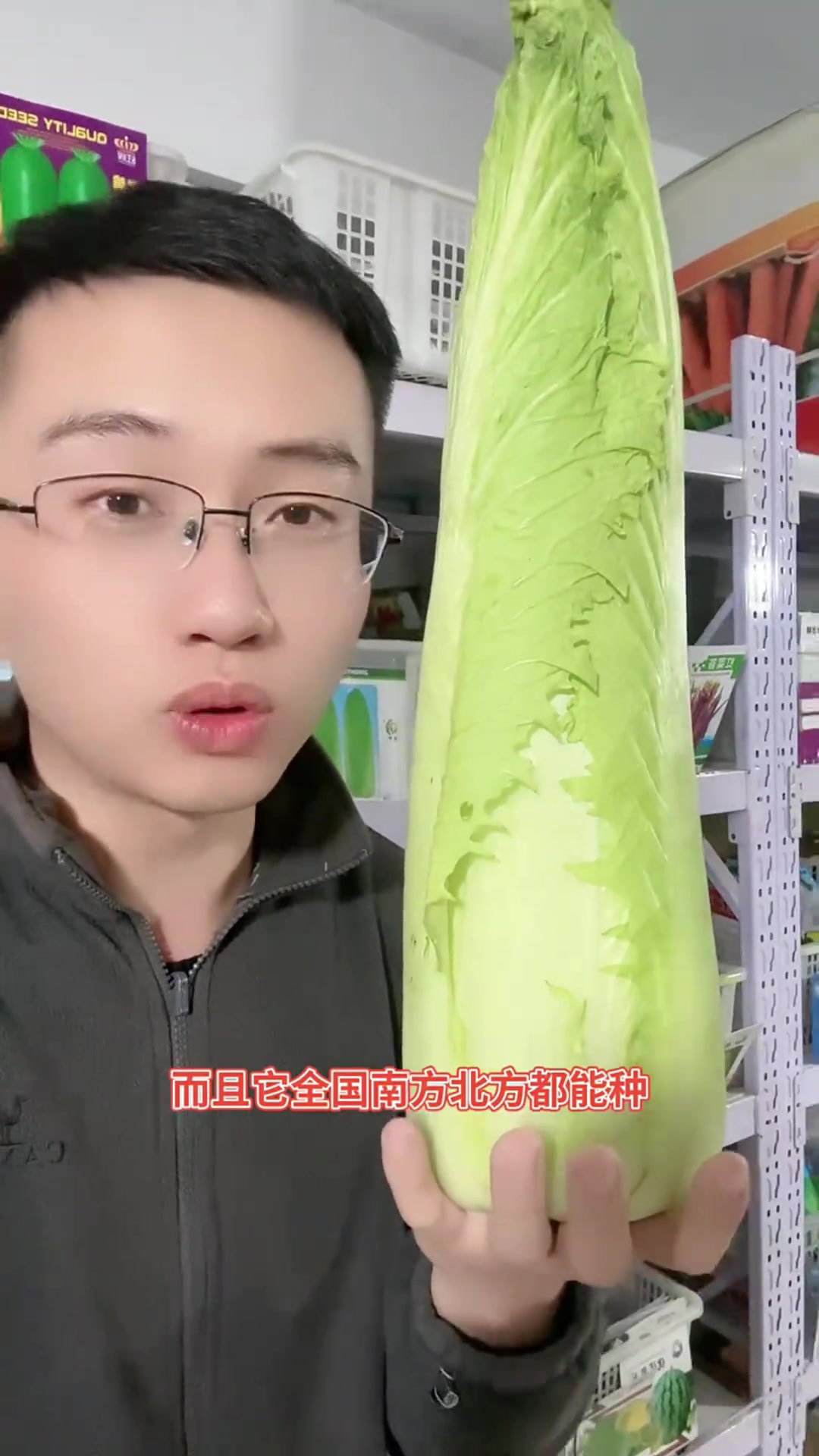 家里有小院空地的,推荐你种上些脆嫩好吃的