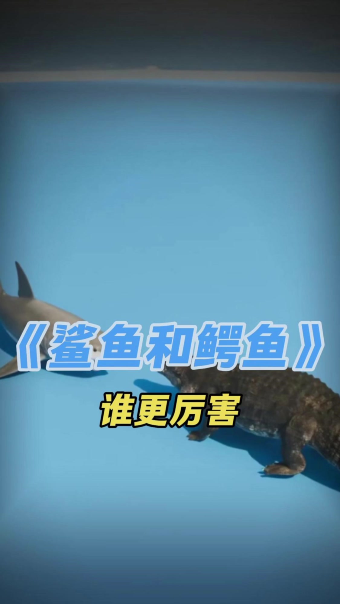 鲨鱼和鳄鱼谁更厉害?