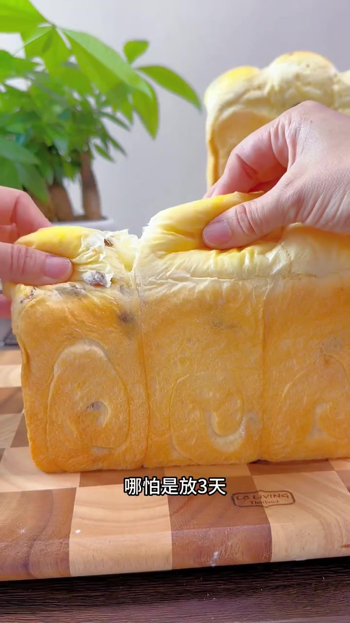 牛奶液种法做的鲜奶提子吐司真的太软啦!常温放三天也不硬!淡淡的奶香搭配酸酸甜甜的提子干真的