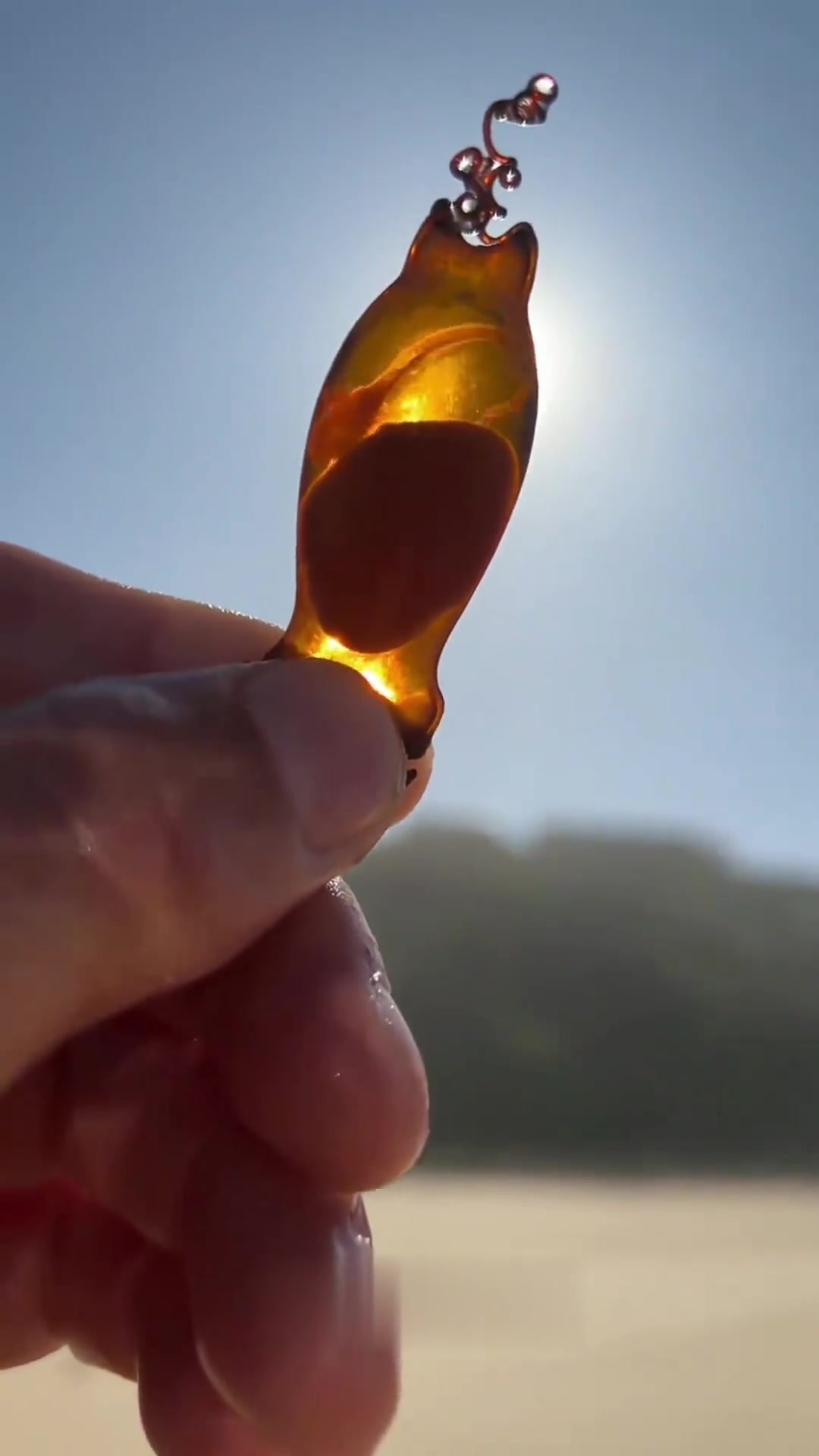 你捡过鲨鱼蛋吗?